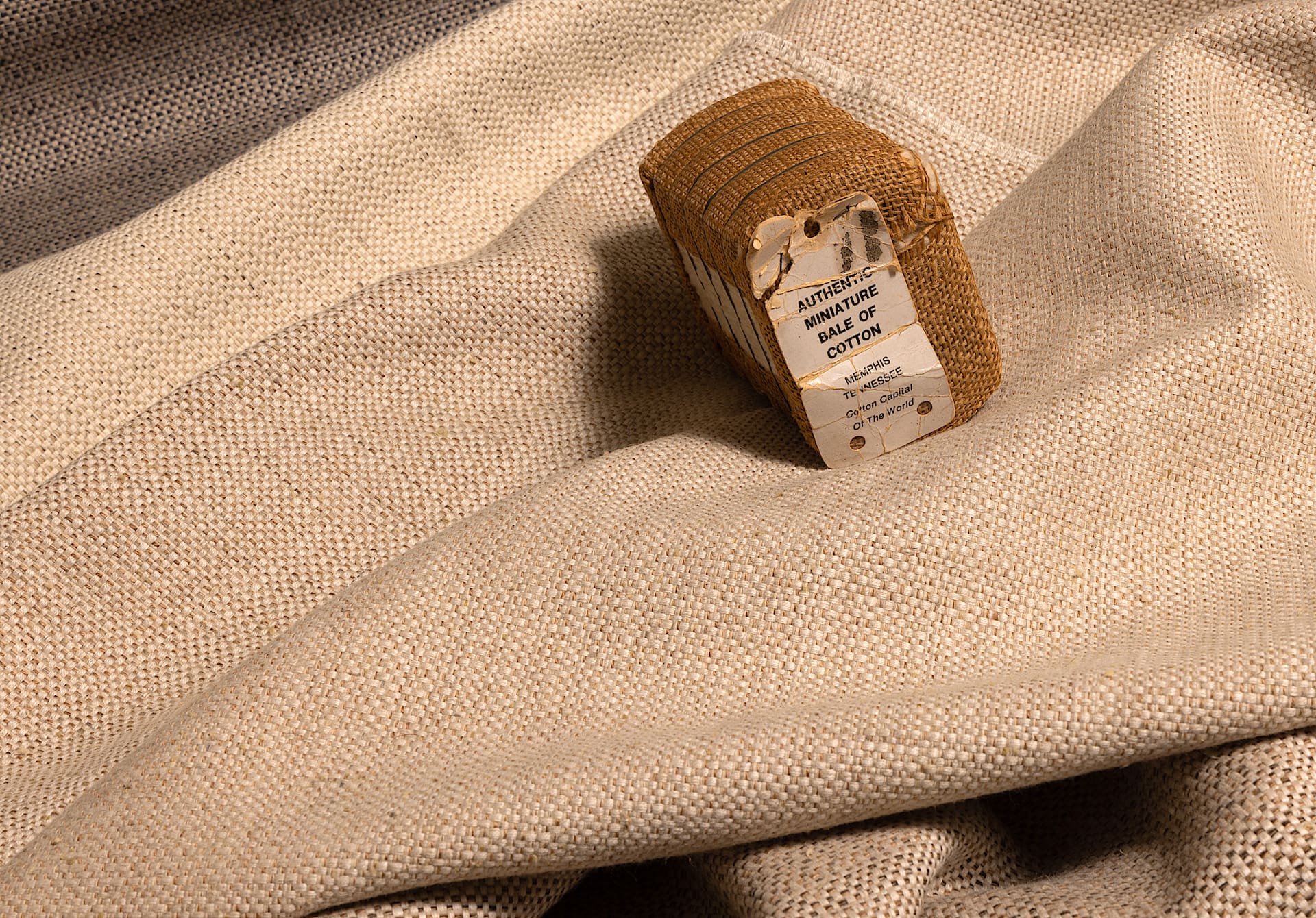 Oscar - Image 4