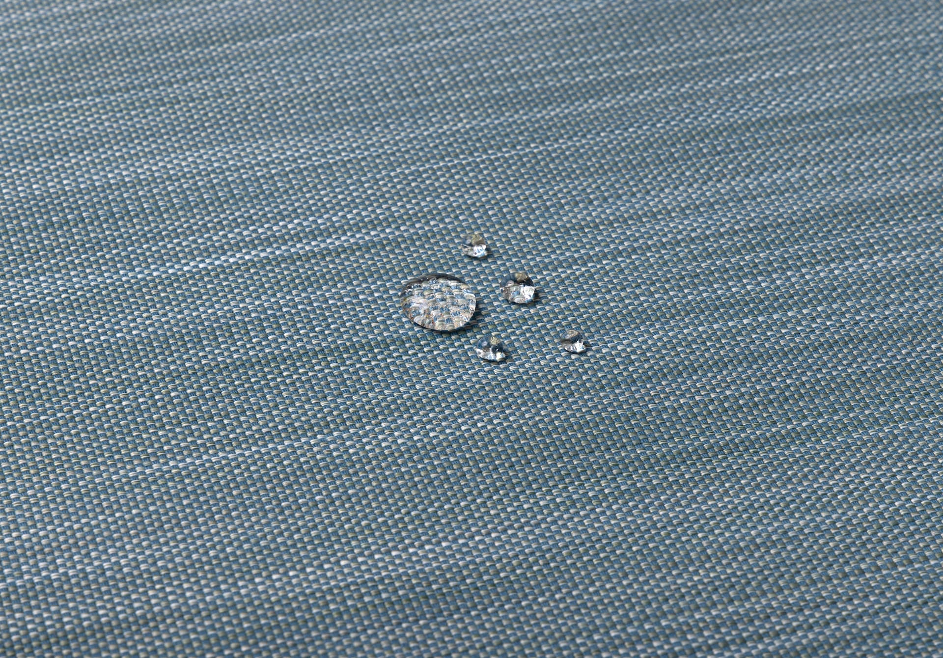 Yucca - Image 3