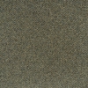 Eucalyptus