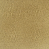 Maize