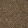 Lentil