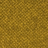 Oil
