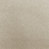 Dove