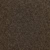 Mocha
