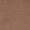 Cinnamon