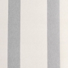 White/Ice